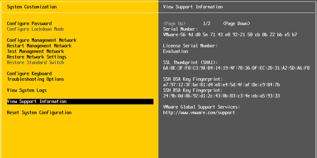 Guida all’installazione di VMware ESXi e vCenter 5.5 Server